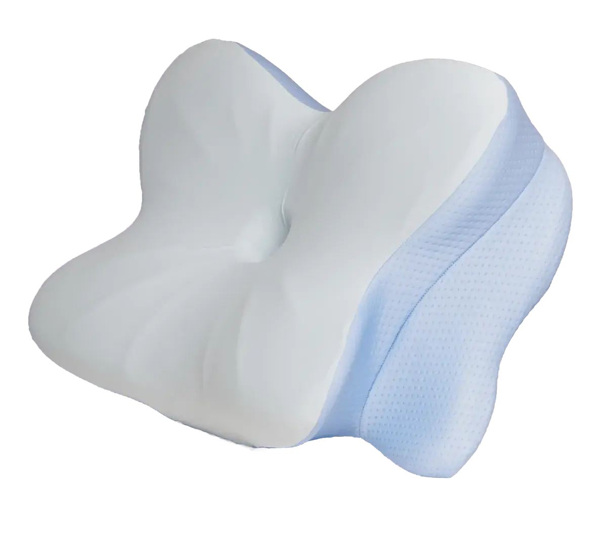 Derila Ergo Pillow Reviews (2026)